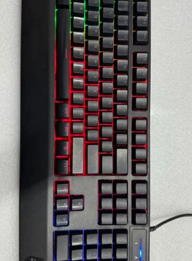 议价雷咖泽HS100机械键盘，RGB炫彩背光，USB接口，带手托