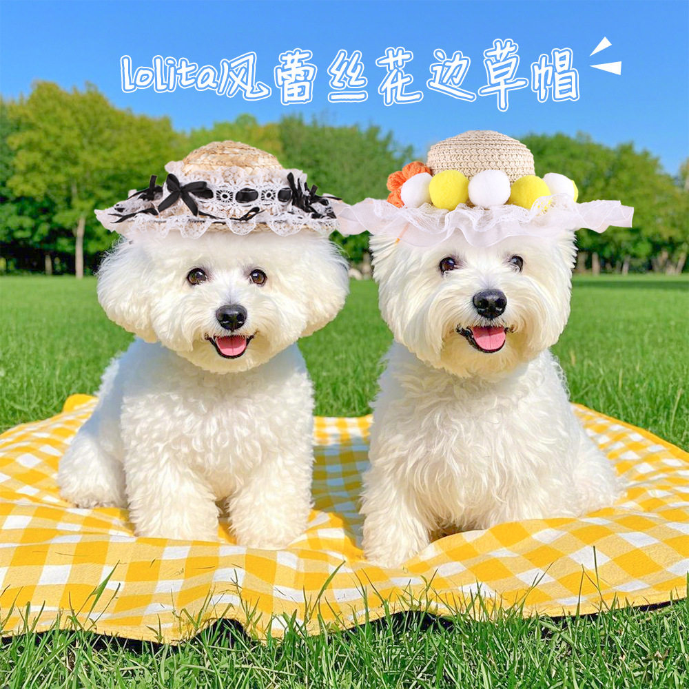 狗狗遮阳草帽户外宠物蕾丝公主帽子花边蝴蝶结草帽装扮布偶猫帽子