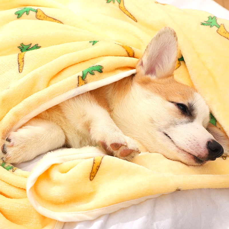 狗狗睡觉用小被子宠物毛毯夏珊瑚绒小狗的小毯子夏季秋天冬款