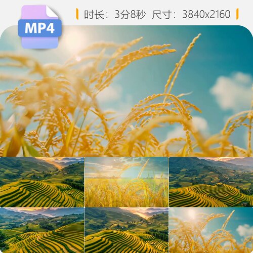 高清在希望的田野上舞台背景家乡稻谷丰收秋农业山村大屏视频素材