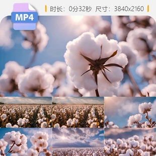 高清棉花柔软长绒纺织纤维原创生白编布料纯棉被芯视频素材
