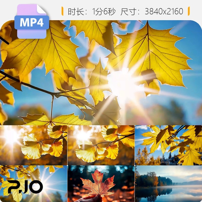 高清金秋枫叶银杏红树林唯美空镜大自然风景航拍意境光影视频素材