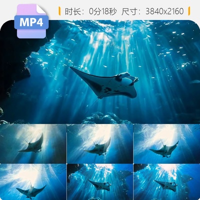 高清魔鬼鱼游动海洋深底世界蝠鲼生物水下游泳13秒高清视频素材