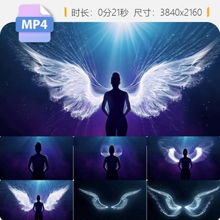 高清科技唯美粒子线条翅膀生长动画背景特效舞台光效视频素材