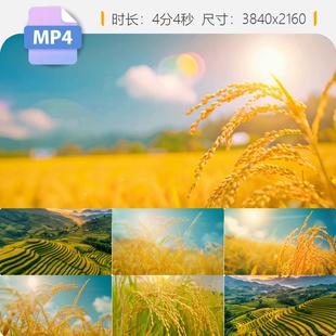 高清殷秀梅在希望的田野上家乡丰收秋景山村绿色舞台背景视频素材