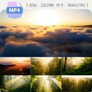 高清清晨森林树林大自然丁达尔光线日出云海航拍延时视频素材