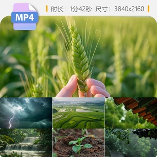 高清立春谷雨二十四节气万物生长春耕农田稻田AI航拍生态视频素材