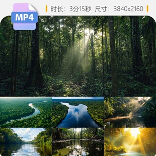 高清亚马逊热带雨林原始森林树木河流鸟瞰4k无人机视角绿视频素材
