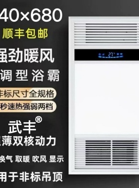 340*680蓝姆母特适用集成吊顶浴霸卫生间嵌入式多功能暖风机34x68