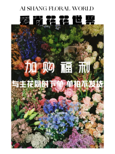 下单百合 加购福利 爱尚花花世界 到货联系后台客服退运费