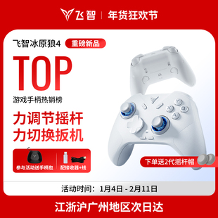 3代游戏手柄黑神话悟空switch2手柄pc手柄电脑版 飞智冰原狼4代 无线蓝牙ipad手机类似xboxsteam 全能进阶
