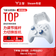 【全能进阶】飞智冰原狼4代/3代游戏手柄黑神话悟空switch2手柄pc手柄电脑版无线蓝牙ipad手机类似xboxsteam