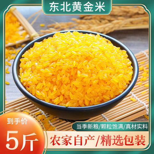 25年东北特产黄金米粗粮米