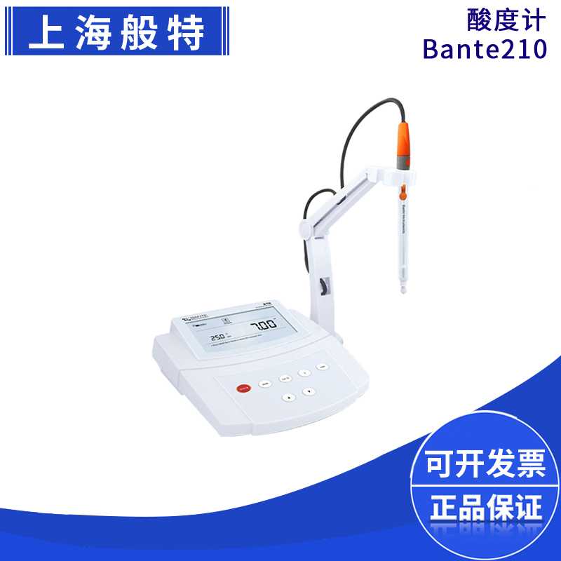 上海般特bante210phmv测量仪