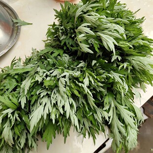 艾蒿苗  有根 熏艾蒿做糯米团子 青团子艾草泡脚1份2棵有根