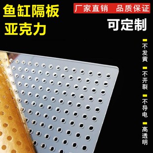 鱼缸隔离板水族箱隔板亚克力隔板幼鱼隔离板隔断加工任意定制定做