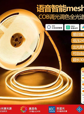 已接入米家APP智能COB灯带三色无极调光调色客厅双眼皮吊顶线形灯