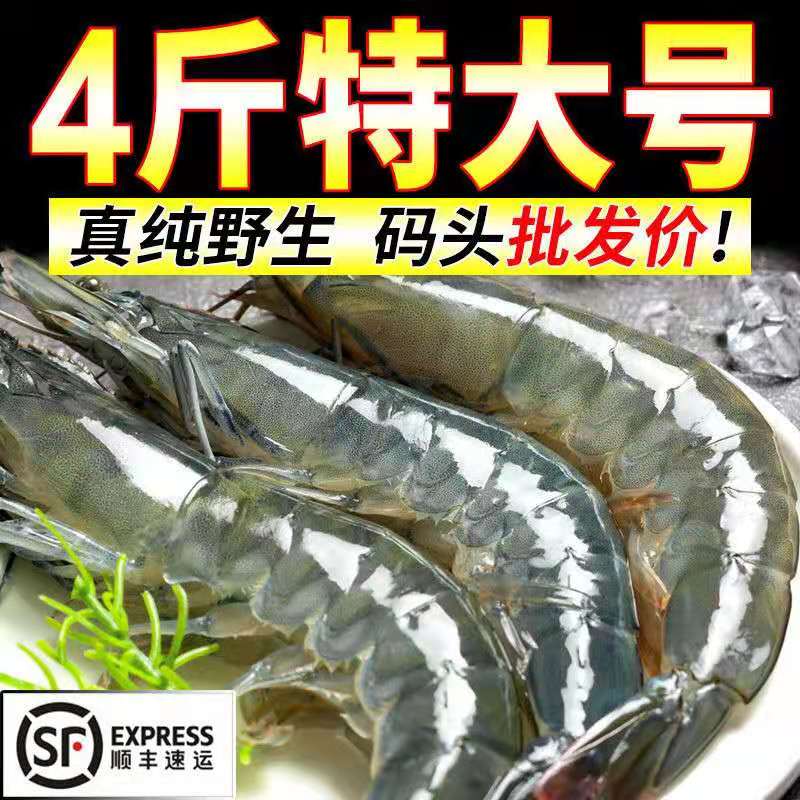 新鲜大虾冷冻海捕野生整箱基围