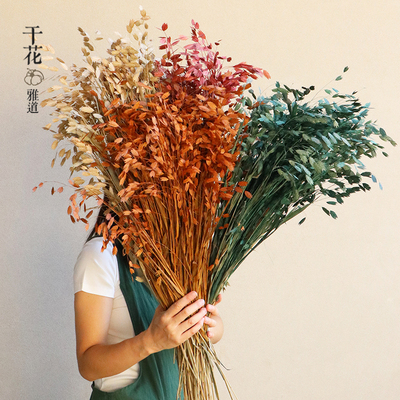 网红小盼草干花自然晾干风铃草家居软装摆件田园诧寂风高级感花束