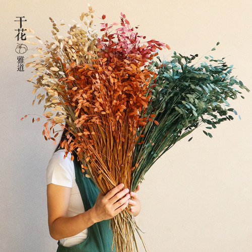 网红小盼草干花自然晾干风铃草家居软装摆件田园诧寂风高级感花束