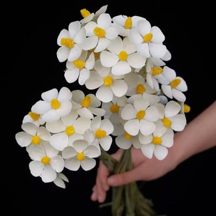 白色紫罗兰装饰文心兰干花花束网红ins风家居客厅摆件小滨菊花瓶