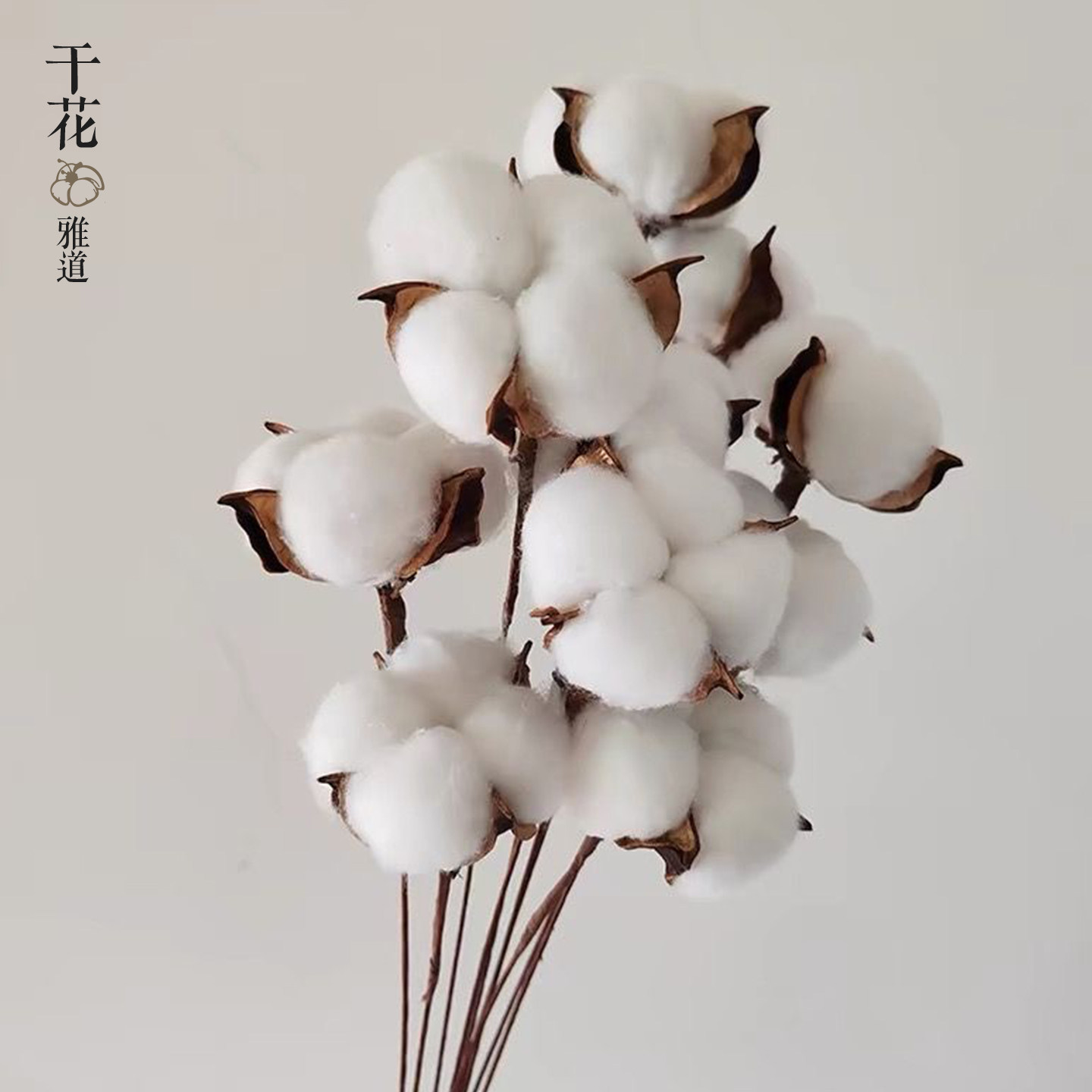 棉花干花花束仿真花木棉花头带杆子拍照道具客厅装饰插花花艺永生