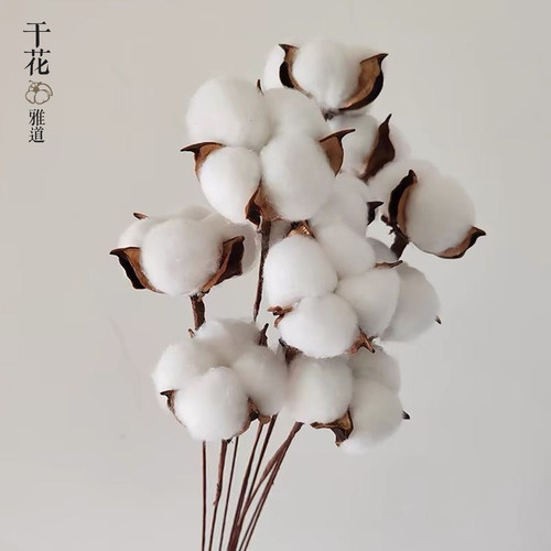 棉花干花花束仿真花带杆子