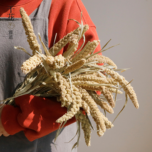 小米谷子谷穗干花真花民宿乡村田野风文艺会所室内装饰餐厅摆件