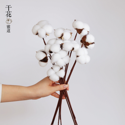 棉花干花花束仿真花木棉花头带杆子拍照道具客厅装饰插花花艺永生