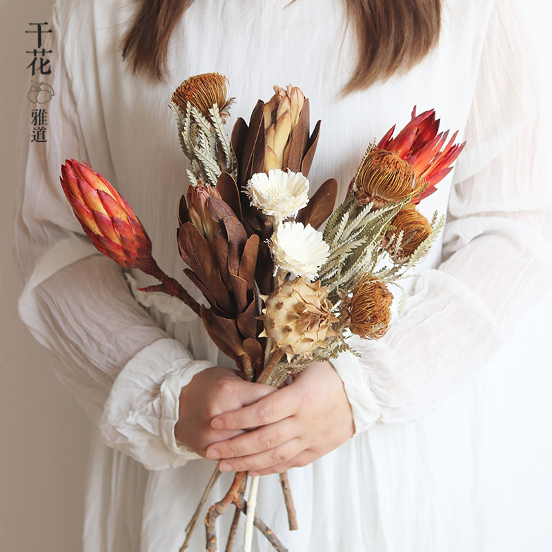 南非进口干花花束真花 雪莲太阳花山茂坚强帝王花高端花材轻奢风