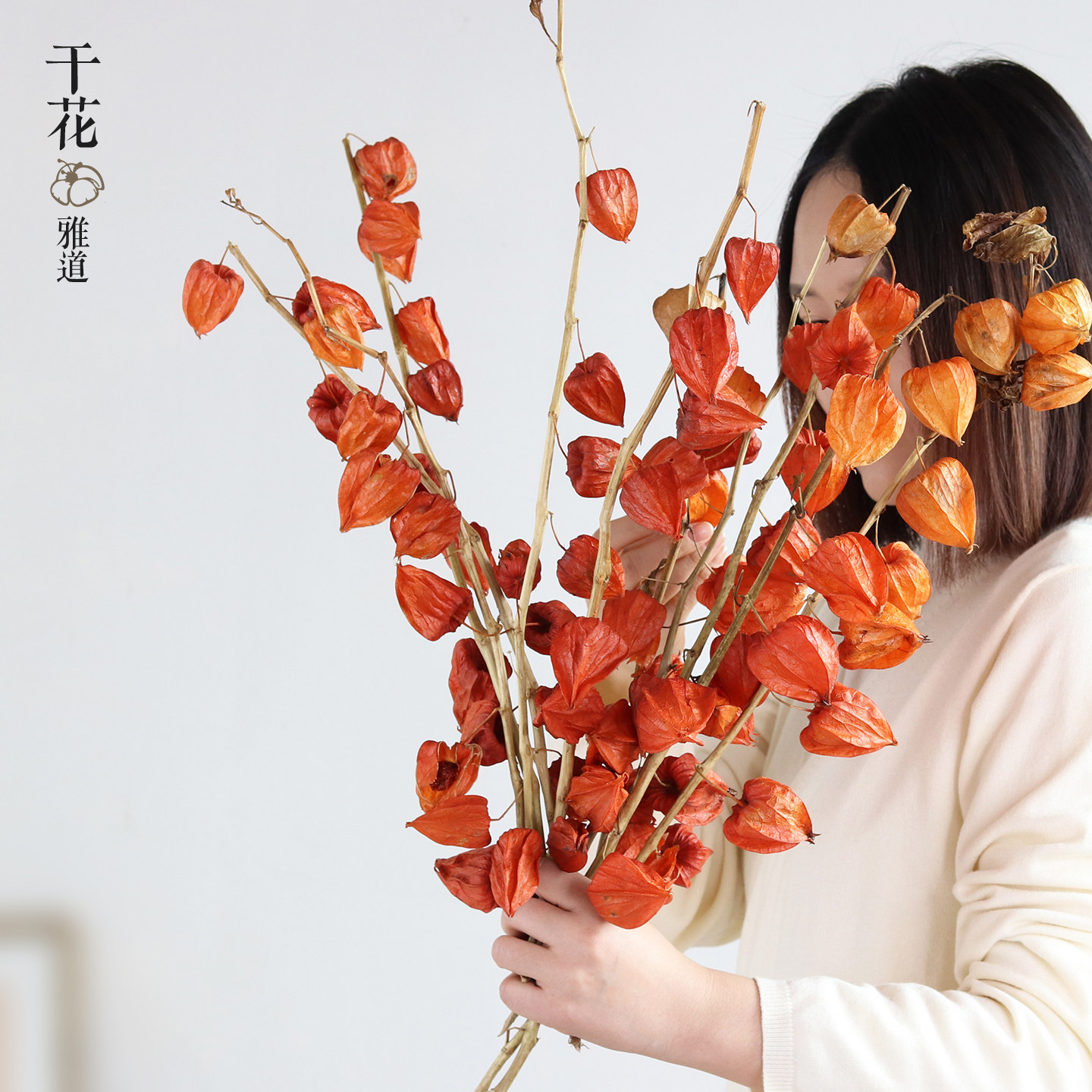 秋色自然酸浆果灯笼果干花花束真花红色喜庆果子果实茶壶设计摆件