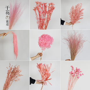 粉色系干花真花材婚礼装 饰吊米小盼草粉黛大扁豆龙须草永生花批发