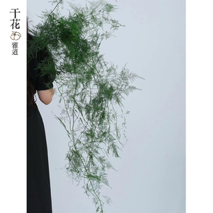 永生花文竹绿色干花花束婚庆花艺软装中式禅意悬挂陈列布置花材