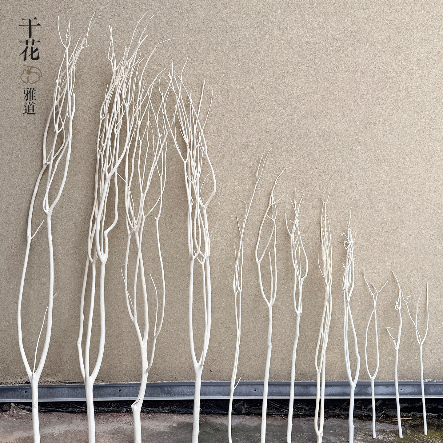 三叉木干枝龙柳枝 婚庆拱门路引装饰花束架构花材 玄关落地装饰