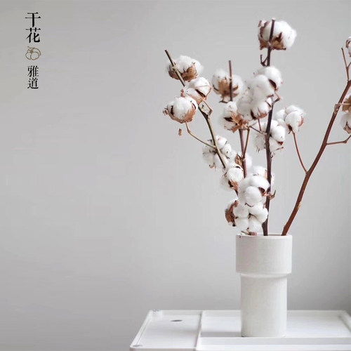 新疆棉花纯天然卧室床头客厅玄关