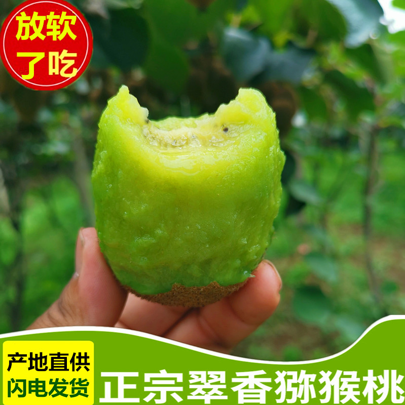 放软食用翠香猕猴桃当季水果