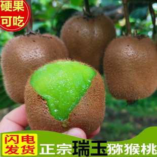 硬果即食陕西周至眉县瑞玉猕猴桃当季新鲜孕妇水果比肩翠香奇异果