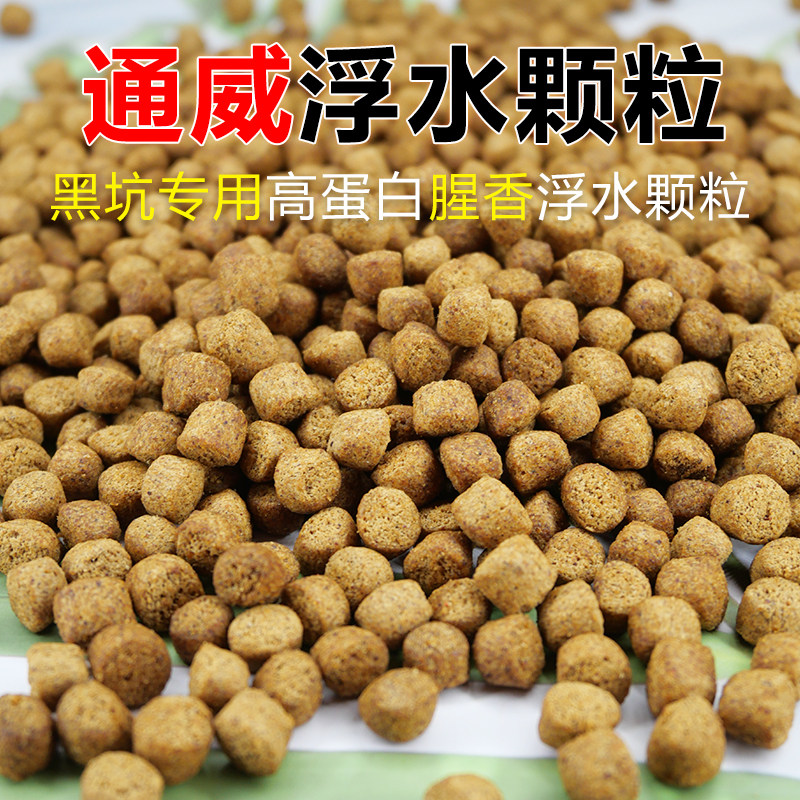 通威153浮水颗粒50斤鱼饲料饵料草鱼罗非翘嘴黑坑鲫鱼鲤鱼颗粒粉,户外/登山/野营/旅行用品,台钓饵,淘宝优惠券,粉丝福利购,淘宝优惠卷