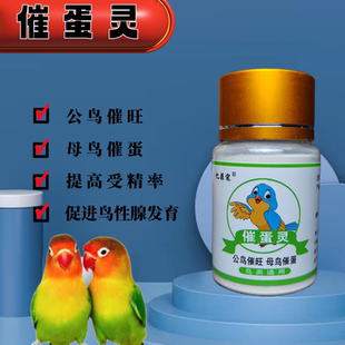 鸟药催蛋素生育药鹦鹉芙蓉玉鸟金青文鸟繁殖提高受精率促进繁殖药