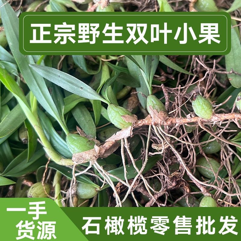 石橄榄新鲜双叶小果野石仙桃中药广东福建炖煲汤材料生岩珠果上叶