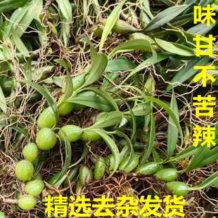 现采石橄榄新鲜双叶小果500g石仙桃果上叶炖汤煲汤补品材料包邮