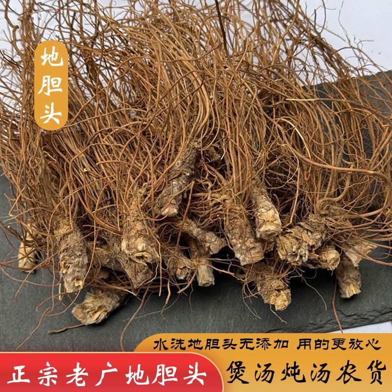 广东野生新鲜地胆头矮脚地胆草苦地胆山药材煲汤材料现挖生货包邮