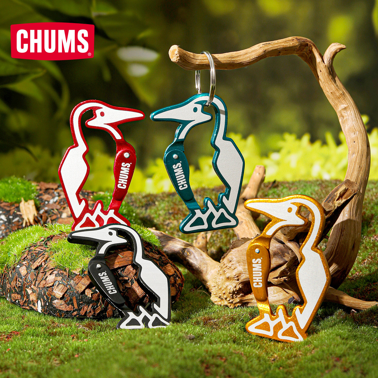 CHUMS洽洽鸟户外Booby快挂背包挂件登山扣钥匙扣挂饰CH62-2049图片
