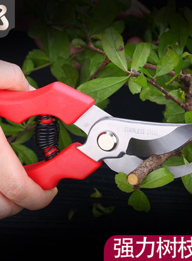 花剪园艺剪刀果树修枝剪刀粗强力大园艺剪子摘菜茶叶花园家用省力