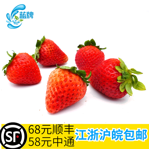 【蓝牌】新鲜草莓水果 红颜草莓现摘现发奶油蛋糕店非丹东250g