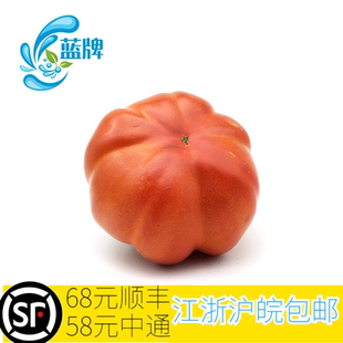 【蓝牌】新鲜蔬菜新鲜牛心蕃茄 西红柿 番茄 红番茄500g