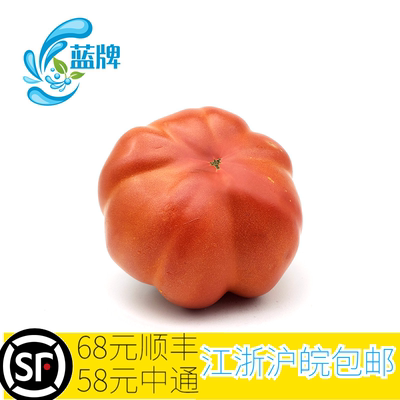 【蓝牌】新鲜蔬菜新鲜牛心蕃茄 西红柿 番茄 红番茄500g