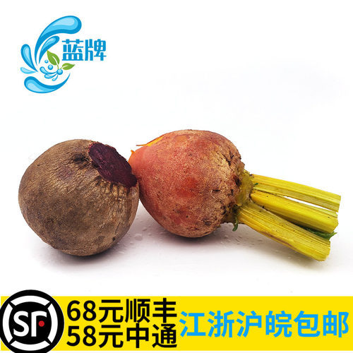 【蓝牌】新鲜紫菜头Baby Red Beets 红菜头迷你甜菜头250g