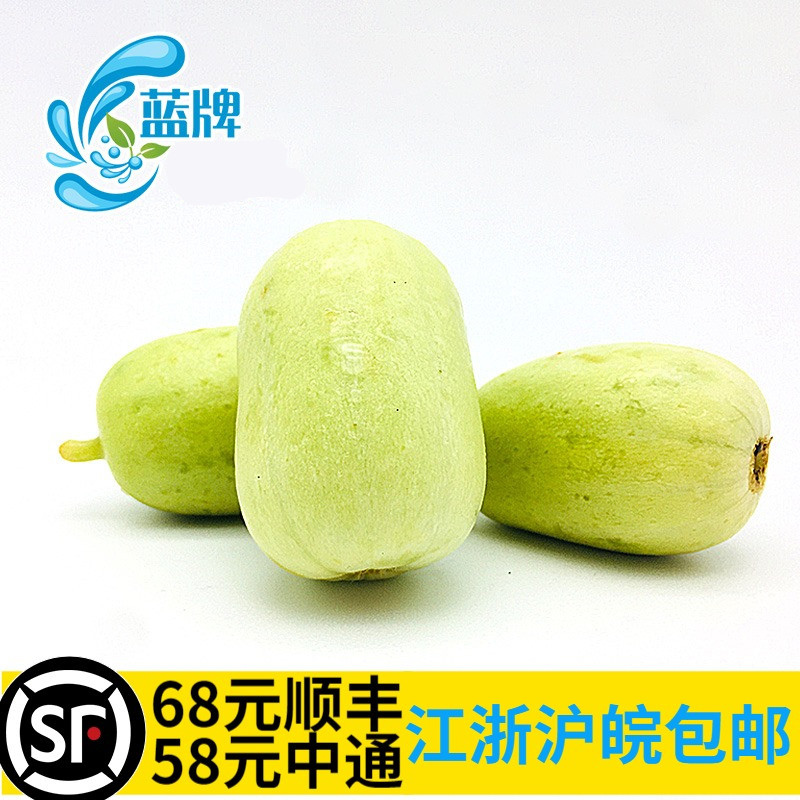 [Blue card]fresh Fruits and vegetables Lady cucumber Mini cucumber Fruit cucumber 6 a centimeter 500gin the Aquatic meat/Fresh fruits and vegetables/Cooked , Fresh vegetables/Vegetable products , Fresh vegetables , cucumber category - from Buy2taobao.com to provide professional Taobao agent buy service