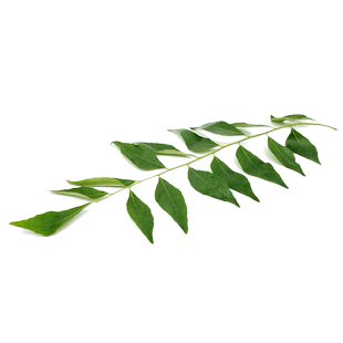 【蓝牌】新鲜咖喱叶 新鲜香料 料理 西餐 新鲜香料 100g